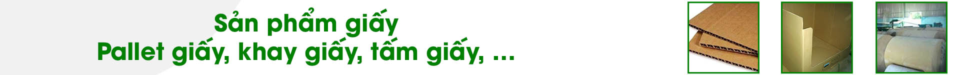 SẢN PHẨM GIẤY KHÁC